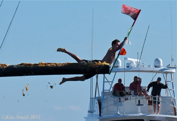 Lenny Taormina Friday Greasy Pole Champion -1 ©Kim Smith 2015