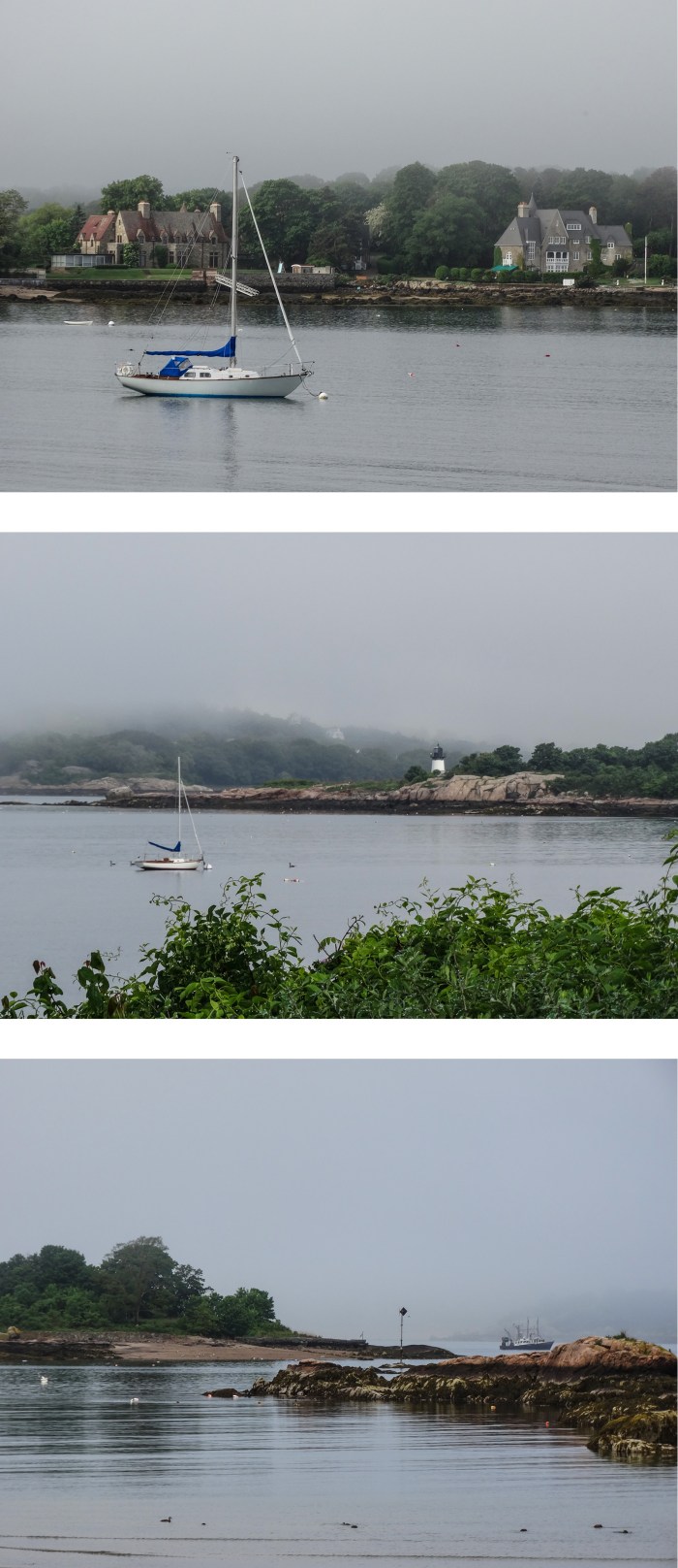 love a foggy morning