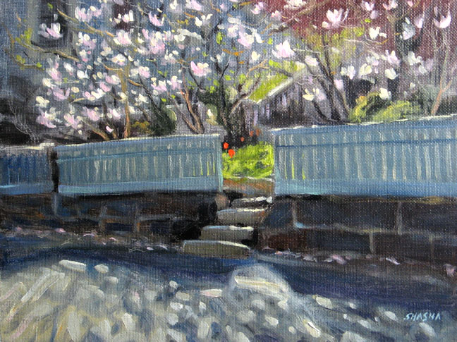 Magnolias - MARK SHASHA