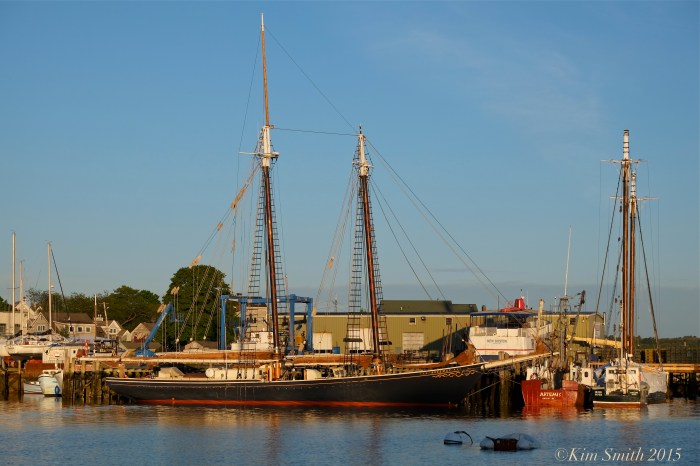 Roseway Schooner MA ©Kim Smith 2015