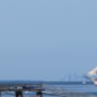 View album View album