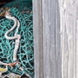 View album View album