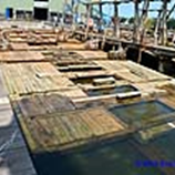 View album View album