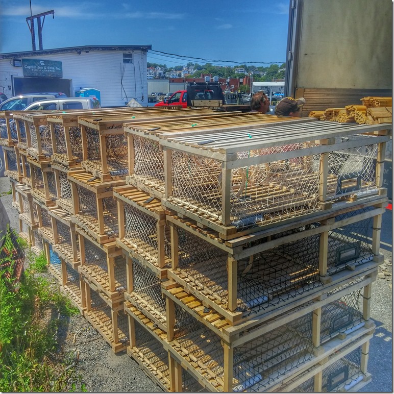 20150716_134918_HDR-01