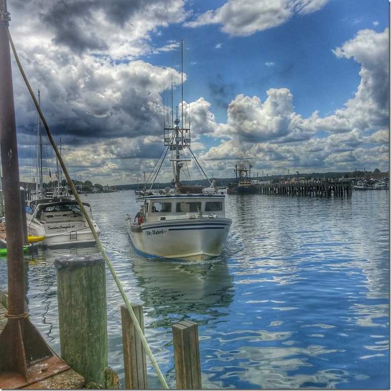 20150723_133429_HDR-01