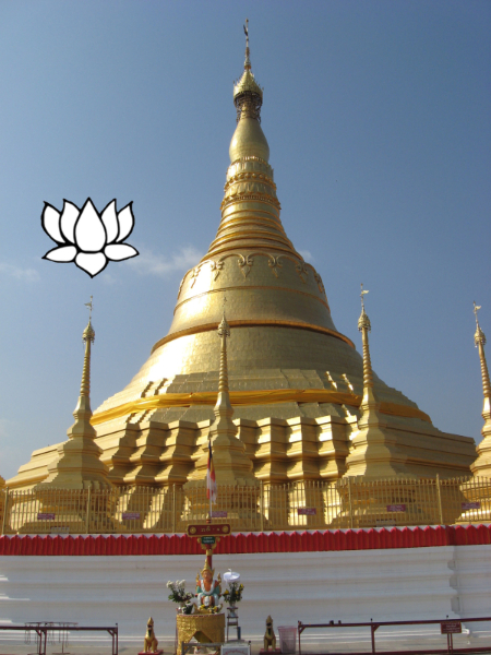 25521e21-764a-49df-aa01-fc82c3b16872