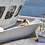 View album View album