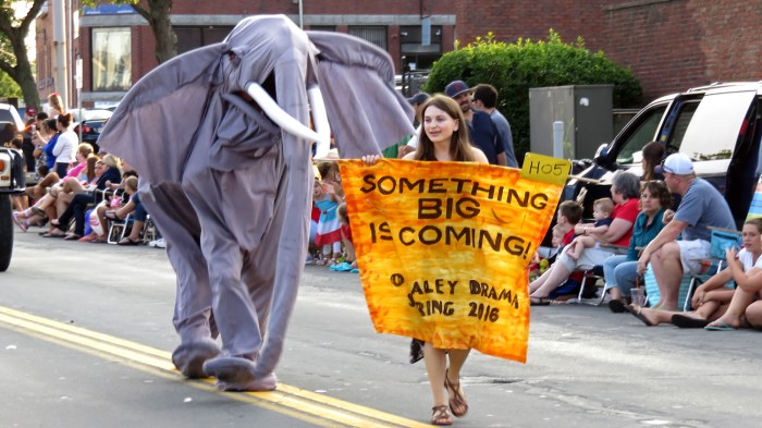 3rdJulyParade'15_7268