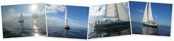 View album View album