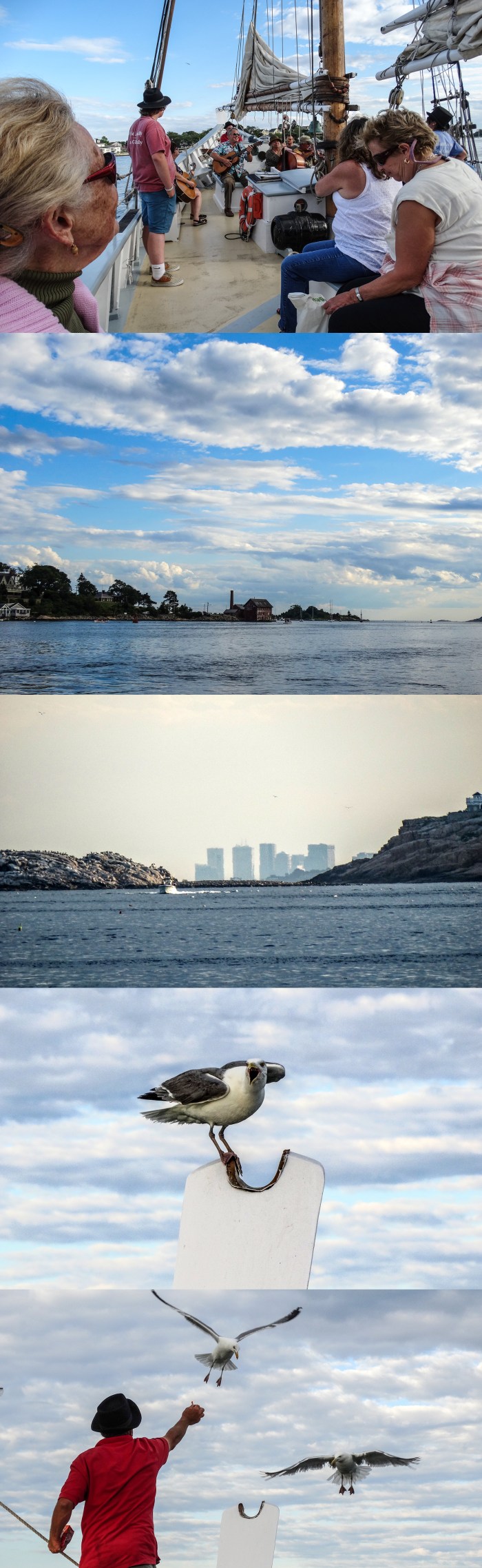 ardelle sail with down home swing