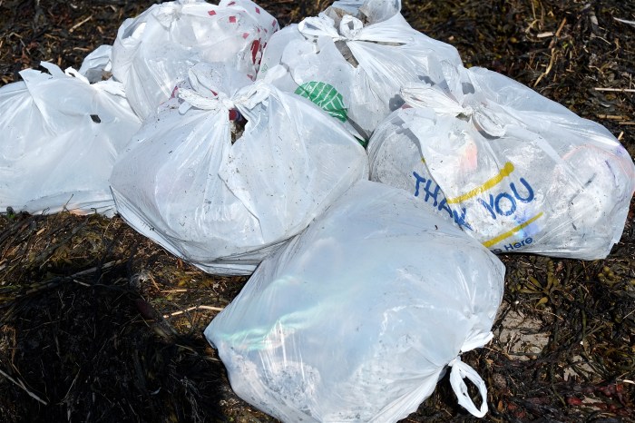 Beach Garbage ©Kim Smith 2015JPG