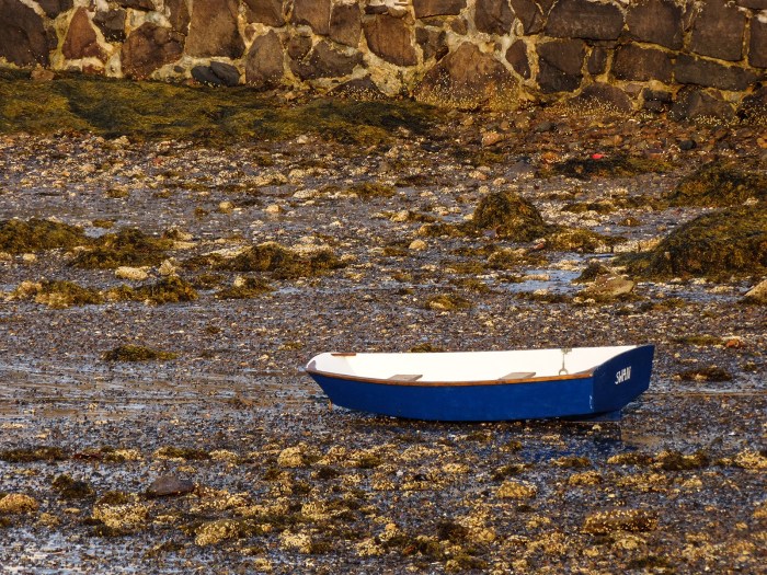 blue boat at low tide