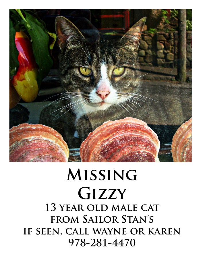 gizzy missing