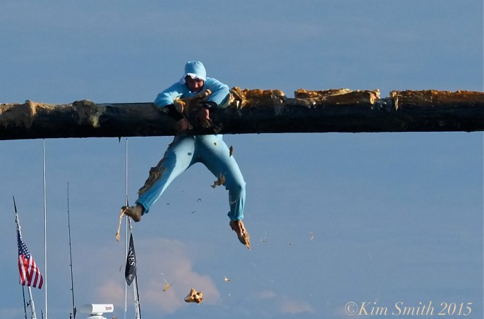 Greasy Pole Gloucester Stew McGillivray -1 ©Kim Smith 2015