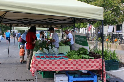 July 13, 2015 Marshall Farm