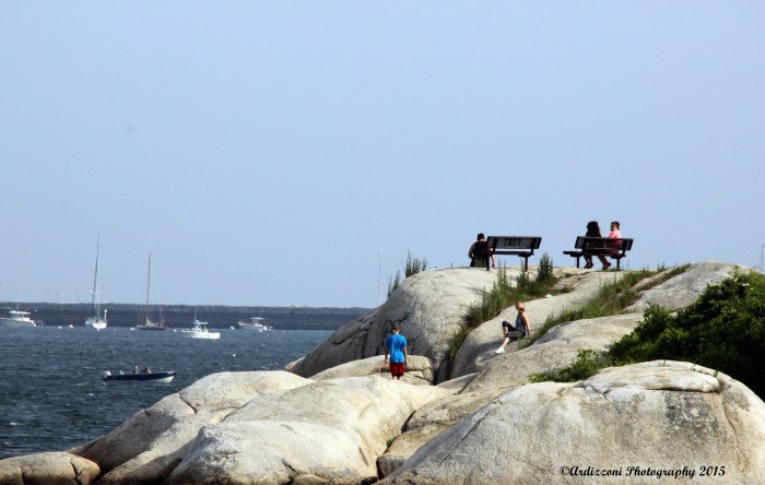 July 14, 2015 Enjoying the view