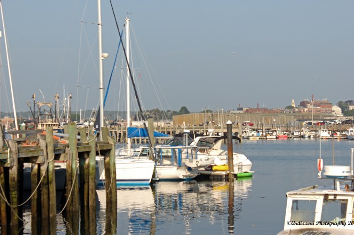 July 30, 2015 early morning at the dock