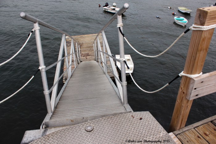 July 30, 2015 low tide at Magnolia Pier