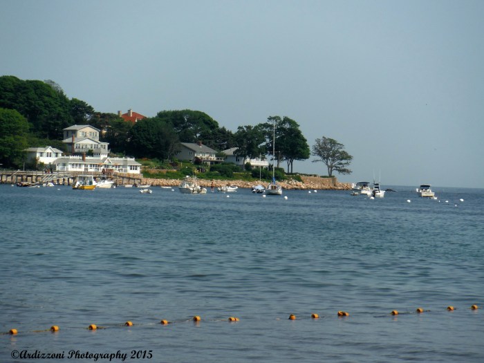 July 6, 2015 beach day