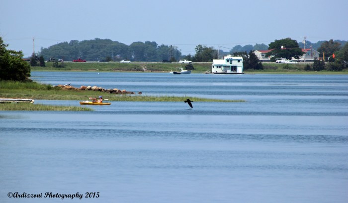 July 6, 2015 peaceful Little River at high tide