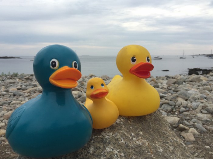 Ring side seats. Maybe since we are made of rubber we might move back a bit.