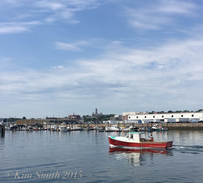 Stanley Thomas Lobster Boat ©Kim Smith 2015 copy