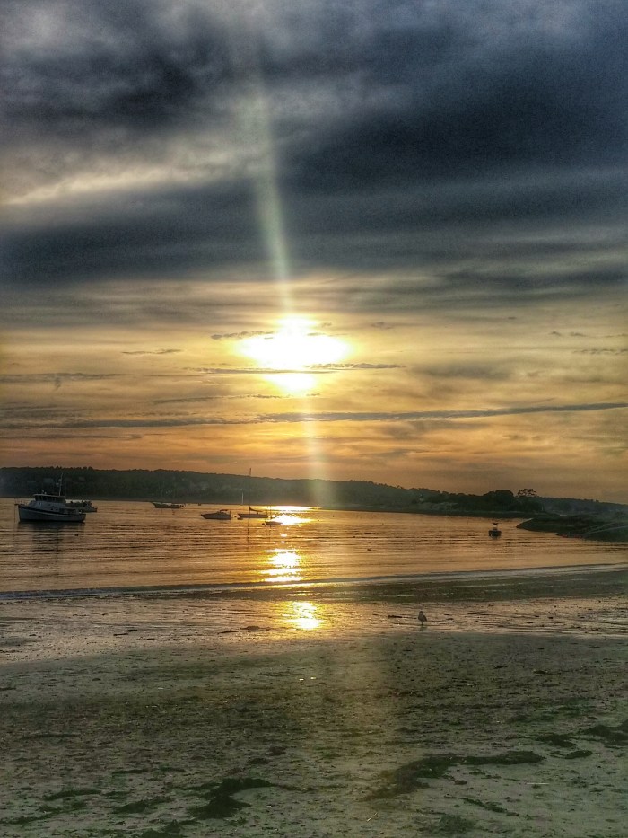 IMG_20150702_193414-01.jpeg image