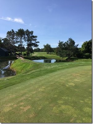 11951243_1089890767695718_578616206515441206_n