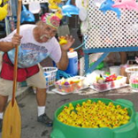 View album View album