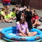 View album View album