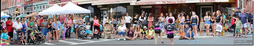 _2015_08_06_066383 Stitch