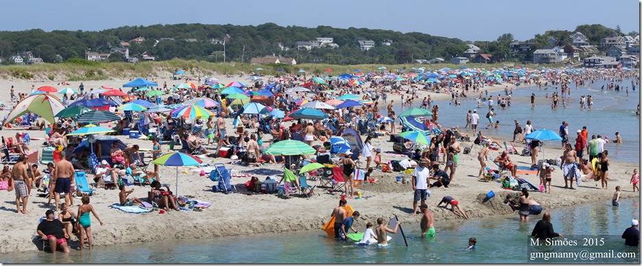 _2015_08_16_067646 Stitch