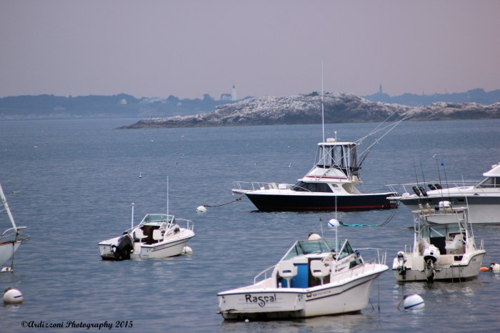 August 18, 2015 Baker's Island from Magnolia Pier