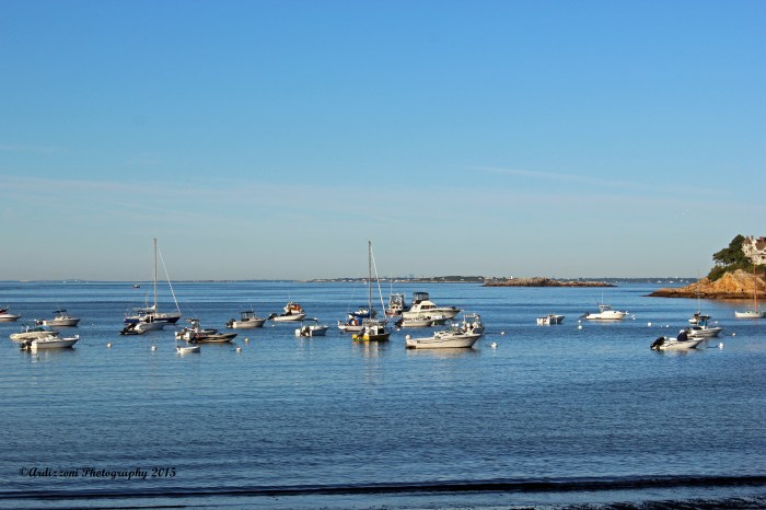August 6, 2015 early morning Magnolia Harbor