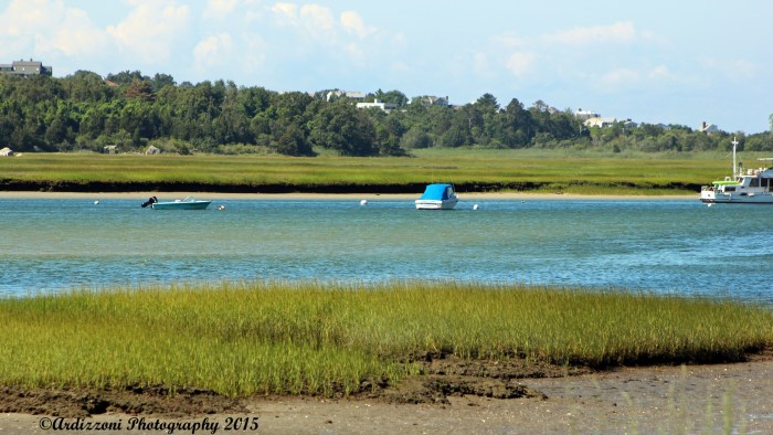 August 9, 2015 Corliss Landing