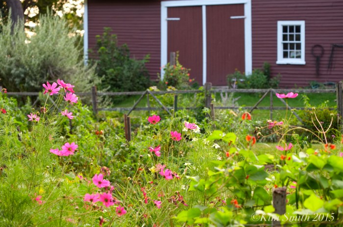 Barn Cabot Farm Salem ©Kim Smith 2015