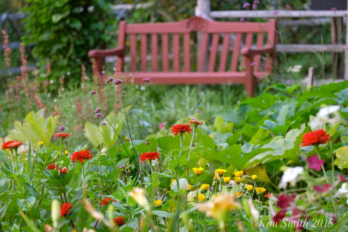 Bench Cabot Farm Salem ©Kim Smith 2015