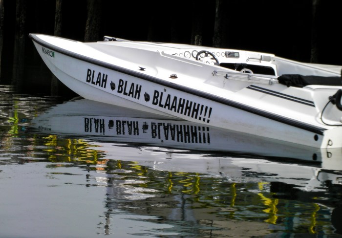 SANYO DIGITAL CAMERA