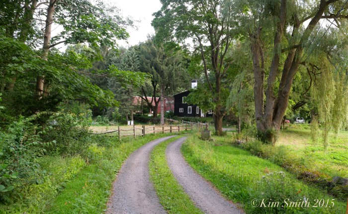 Cabot Farm Salem -1 ©Kim Smith 2015