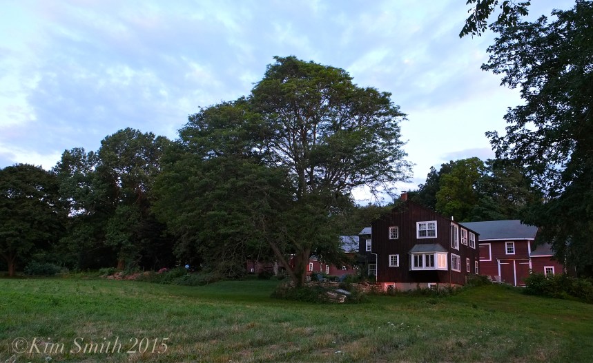 Cabot Farm Salem ©Kim Smith 2015