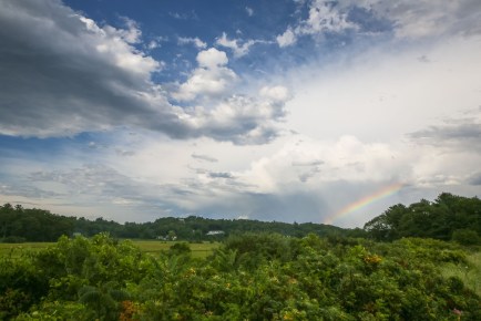 Donnas_Rainbow_Magnolia-GY8A0205