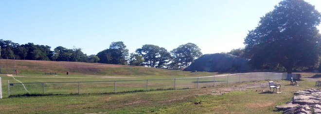 Fence