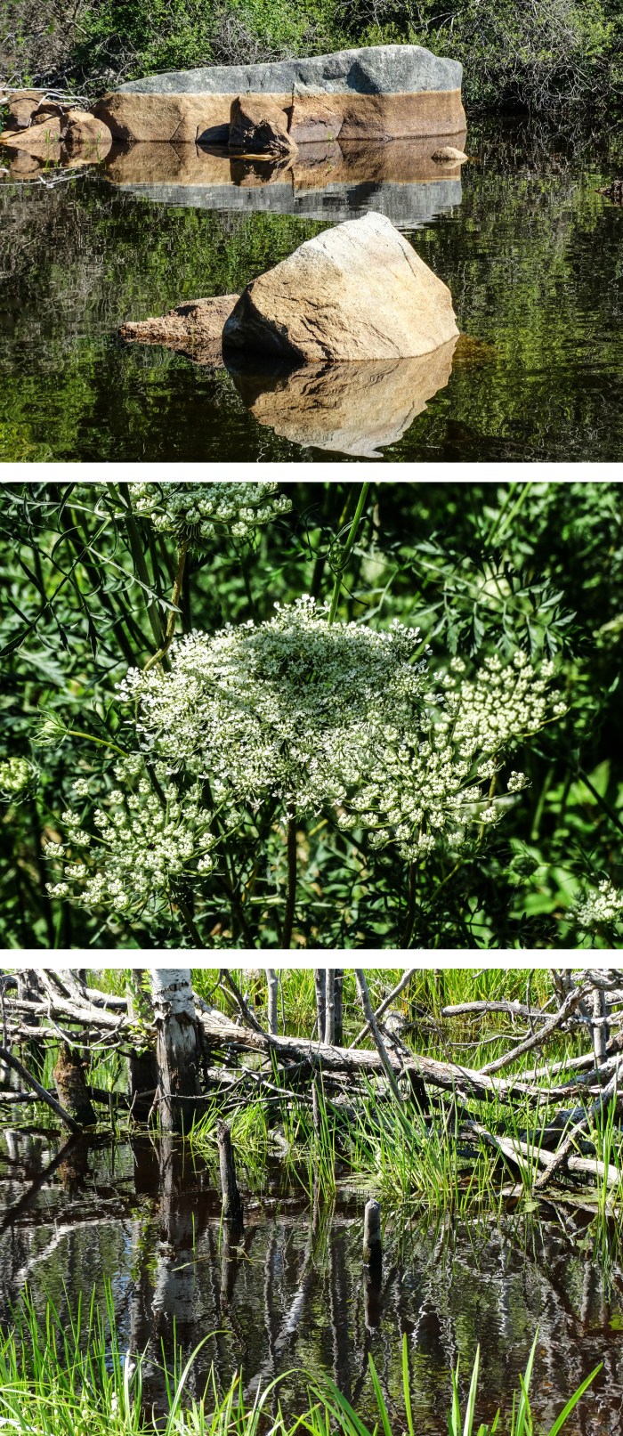 goose cove reservoir
