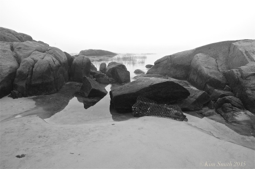 Lighthouse Beach Annisquam Gloucester -1 ©Kim Smith 2015