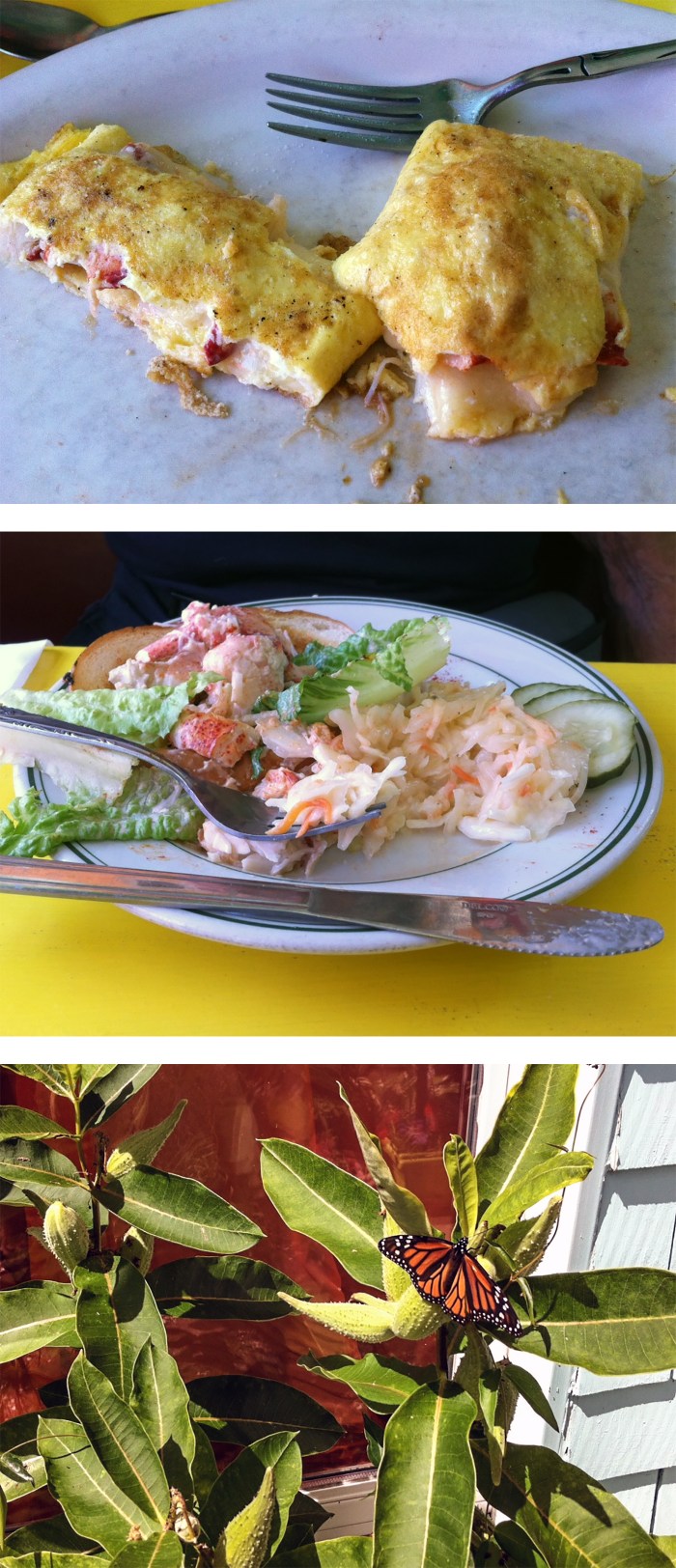 monarch and lobster at sailor stans