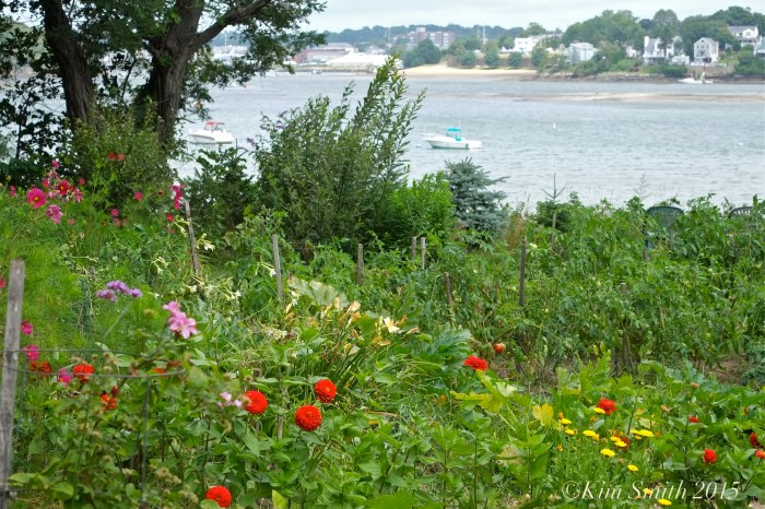 Nancy Lutts garden ©kim Smith 2015