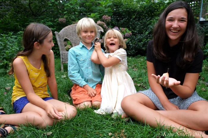 Pilar Atticus Meadow Emma monarch caterpillars ©Kim Smith 2015