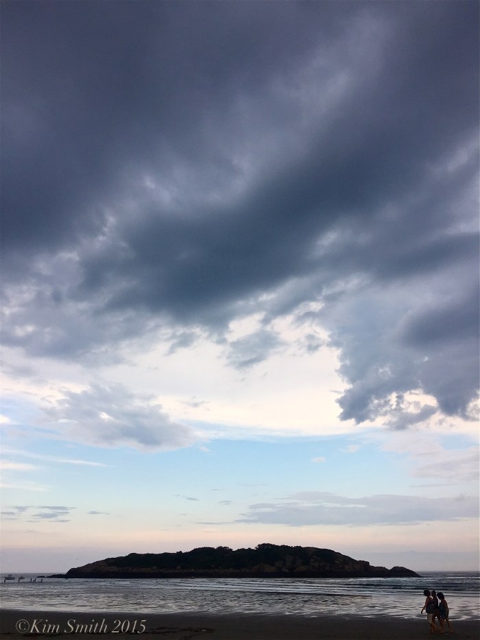 Salt Island Good Harbor Beach ©Kim Smith 2015 copy