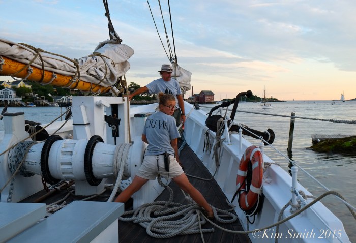 Schooner Adventure Gloucester -4 ©Kim Smith 2015
