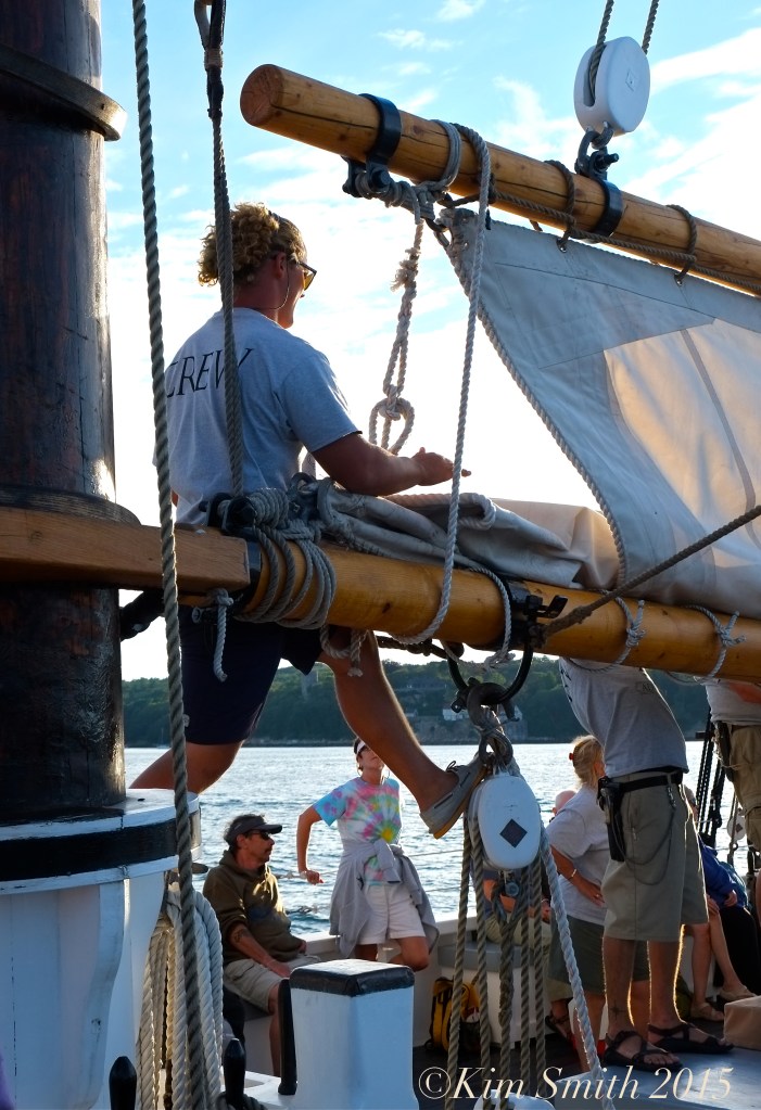 Schooner Adventure Gloucester August 5th -14 ©Kim Smith 2015